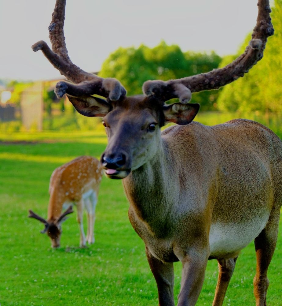 Photograph by Сергей Хазов
