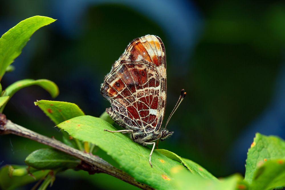 Photograph by Иван Радьков