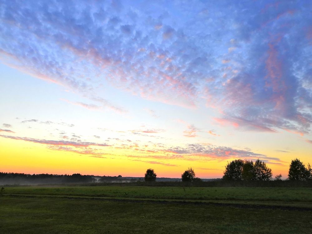 Photograph by Екатерина Овсянникова