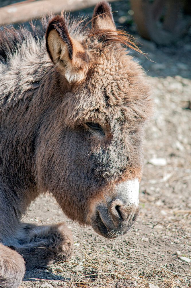 Photograph by Сергей Христинич