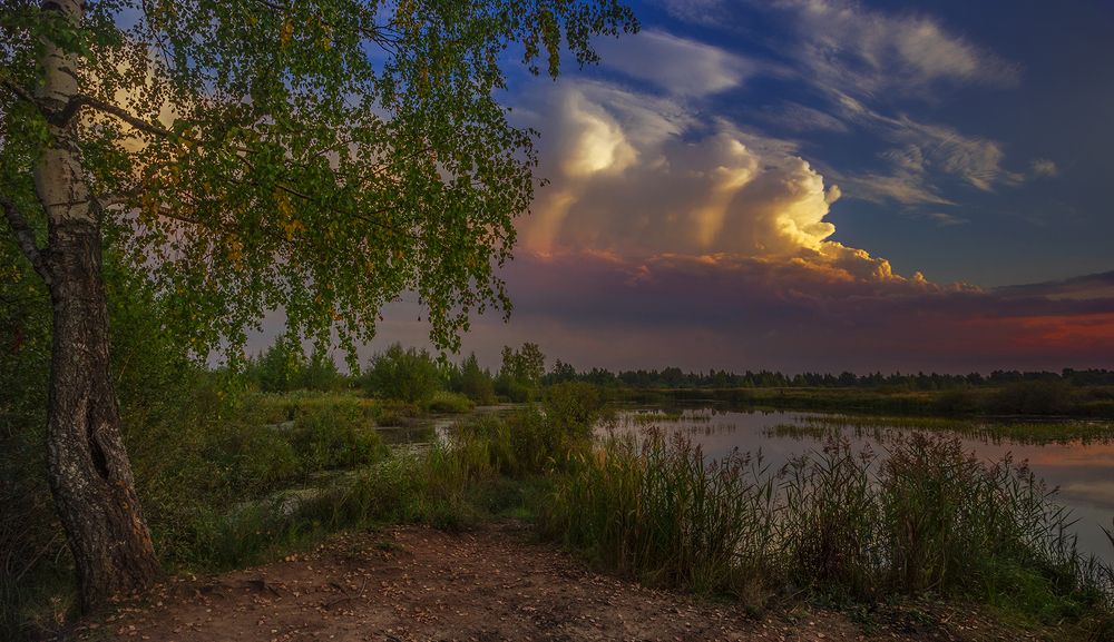 Photograph by Елена Рубинская