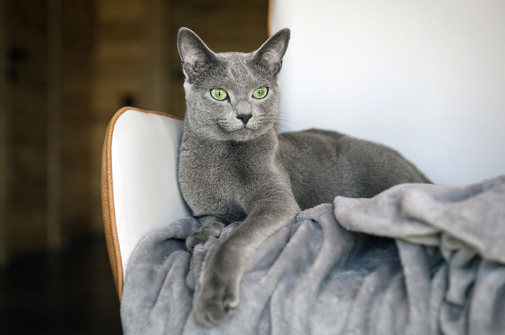 Photograph by Ирина Бородовская