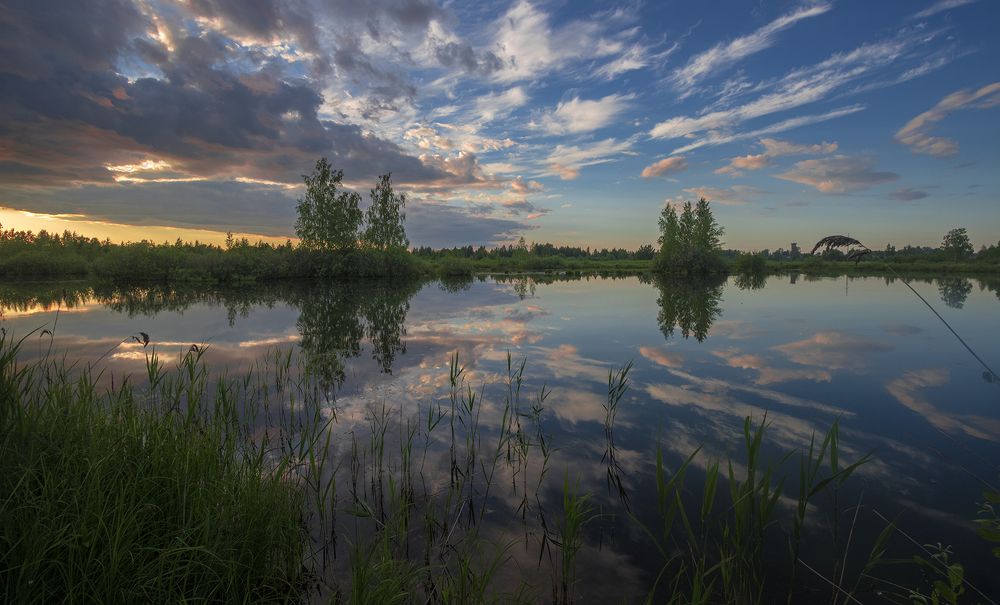 Photograph by Елена Рубинская