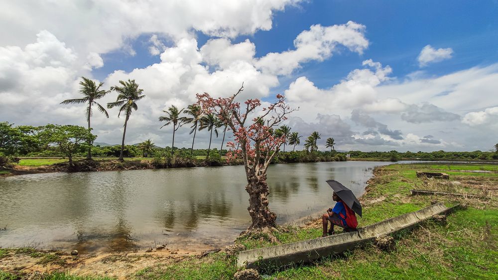 Photograph by Rohan Fernandes