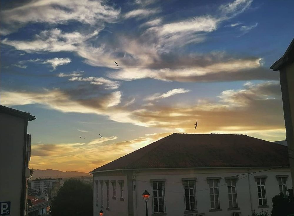 Photograph by Enikő Tótváradi