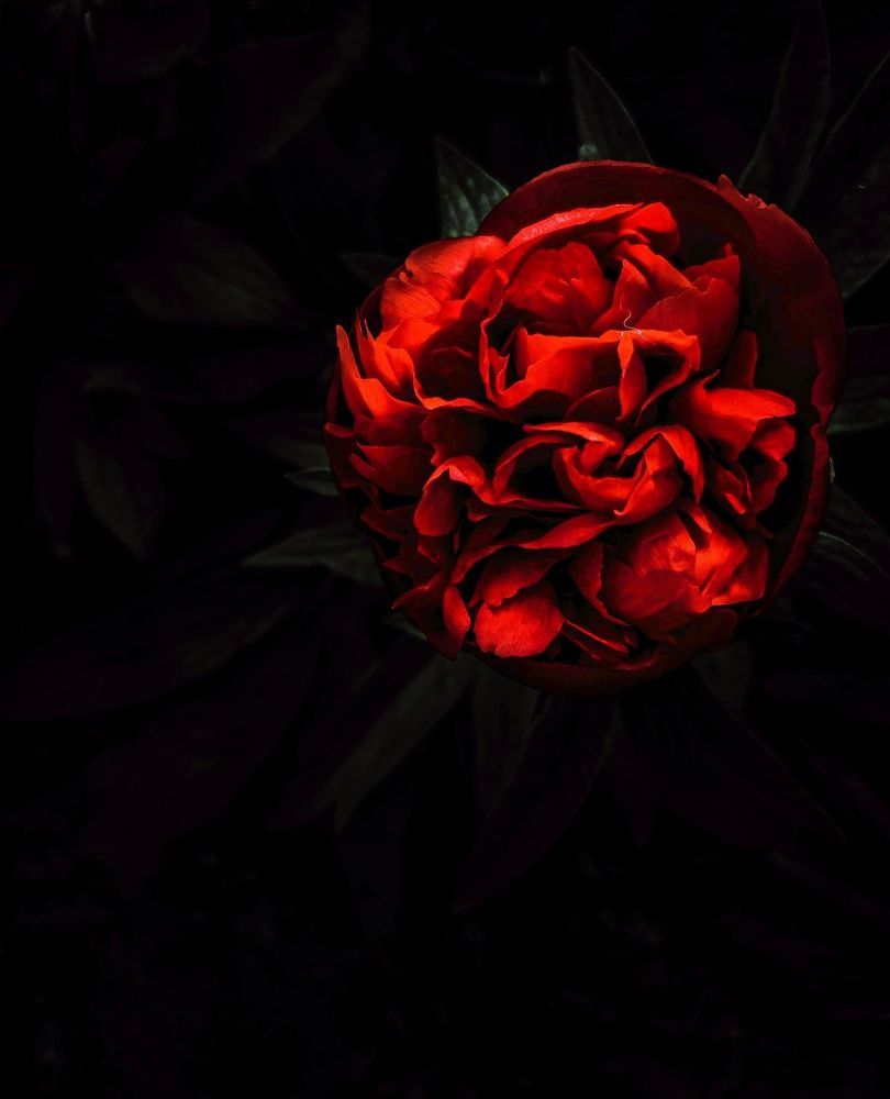 Photograph by Ирина Панкова