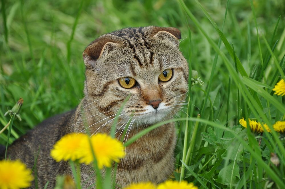 Photograph by Геннадий Зайцев