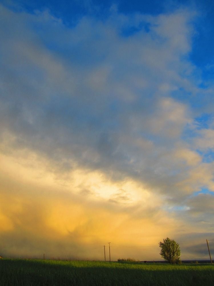 Photograph by Мария Прозорова