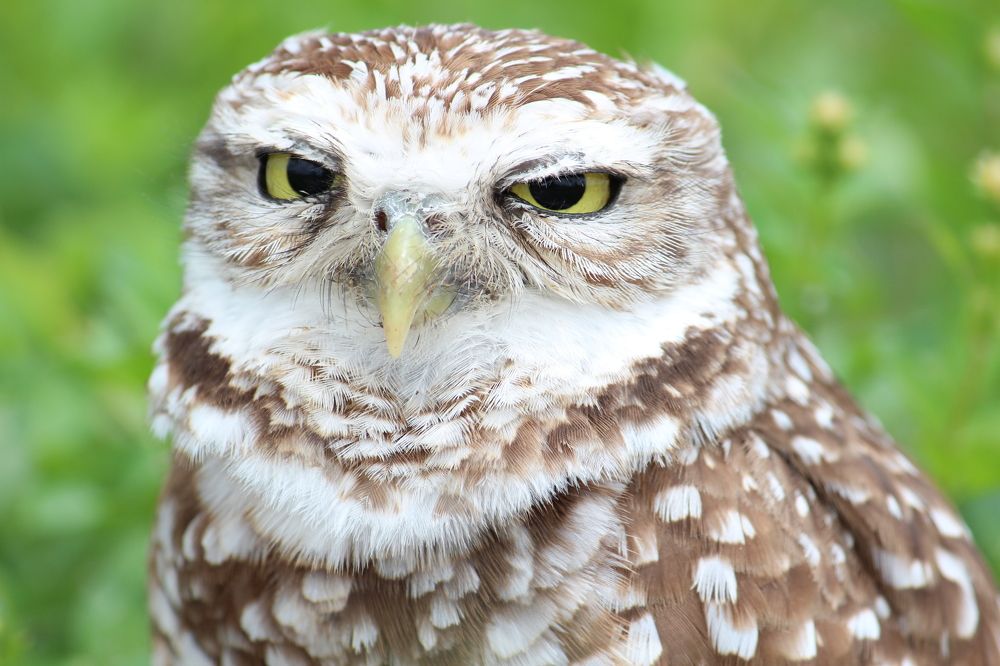 Photograph by Senthil Venugopalan