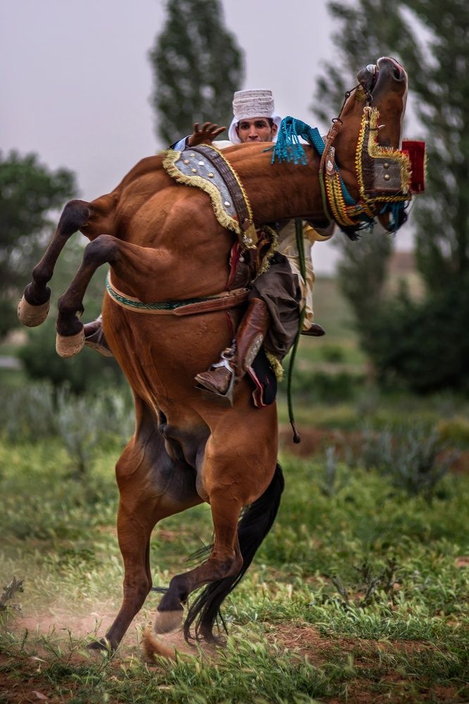 Photograph by Mohammed Elamine Belkhir