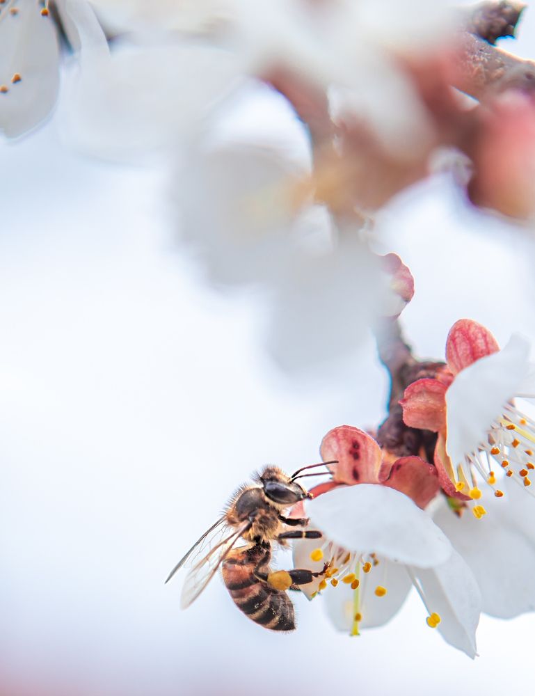 Photograph by Katrin Antares