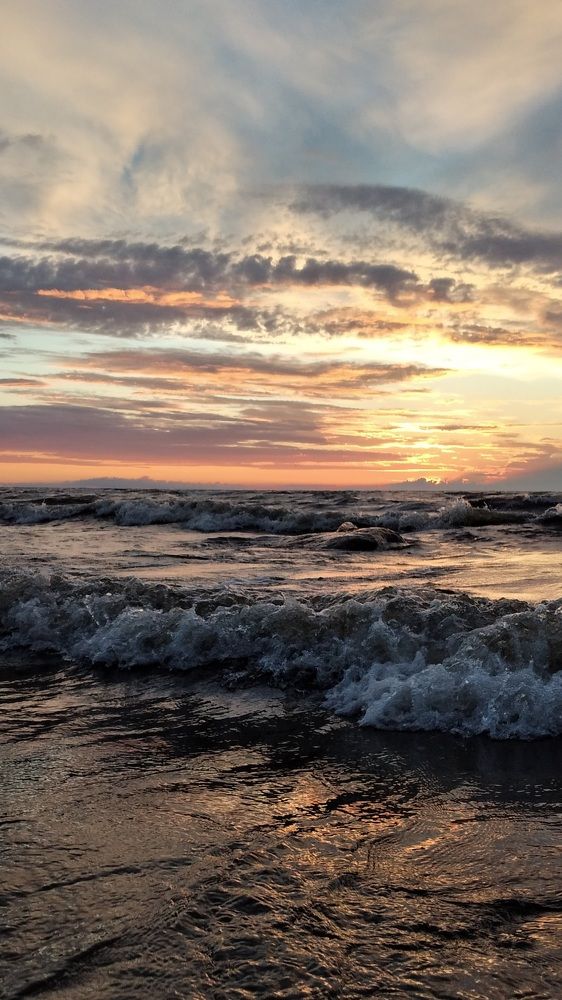 Photo #6126453