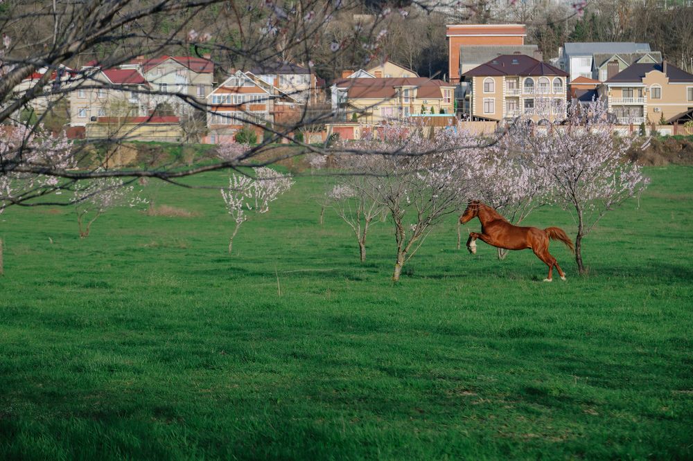 Photograph by Светлана Збраилова