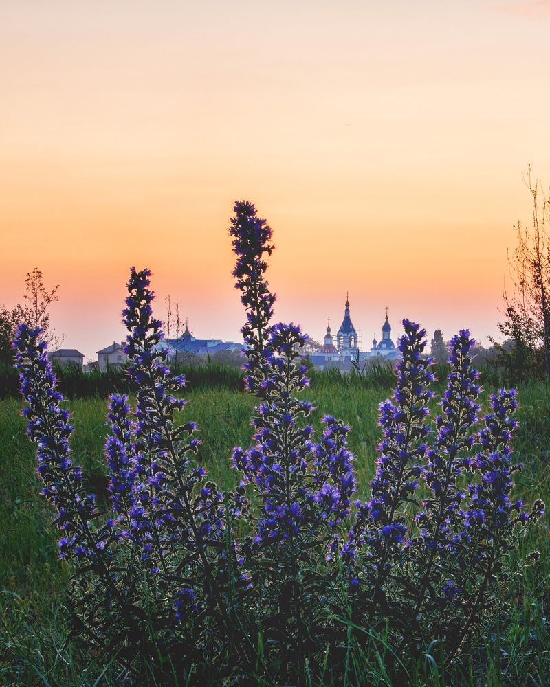 Фотография автора Сыч Римма