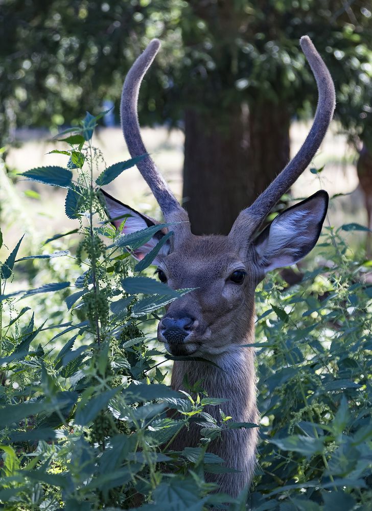 Photograph by Алексей Максимов