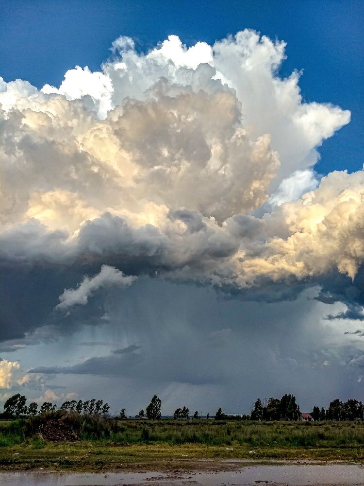 Photograph by Anabella Gasparini