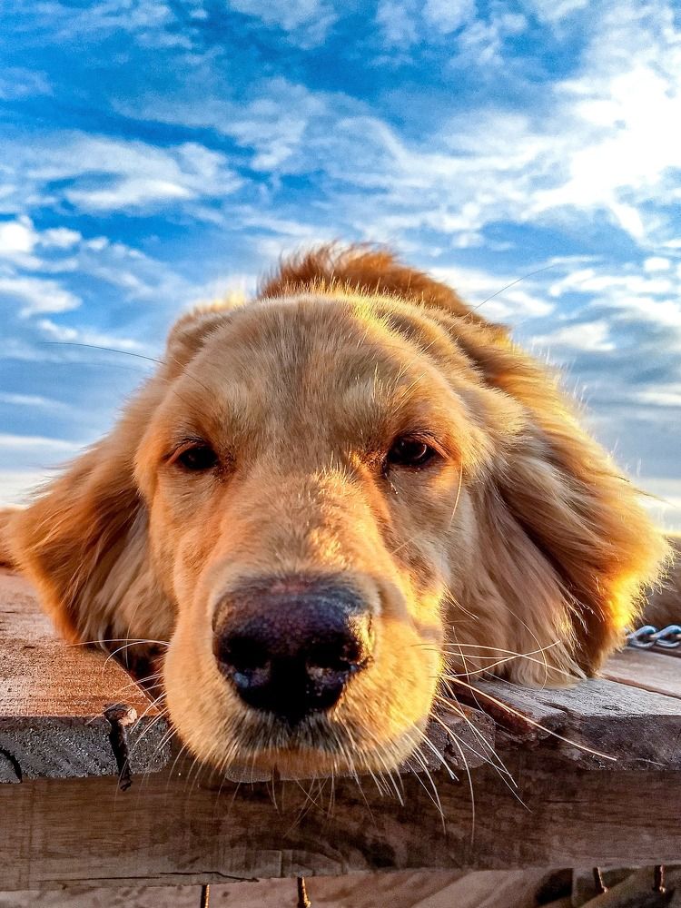 Photograph by Anabella Gasparini