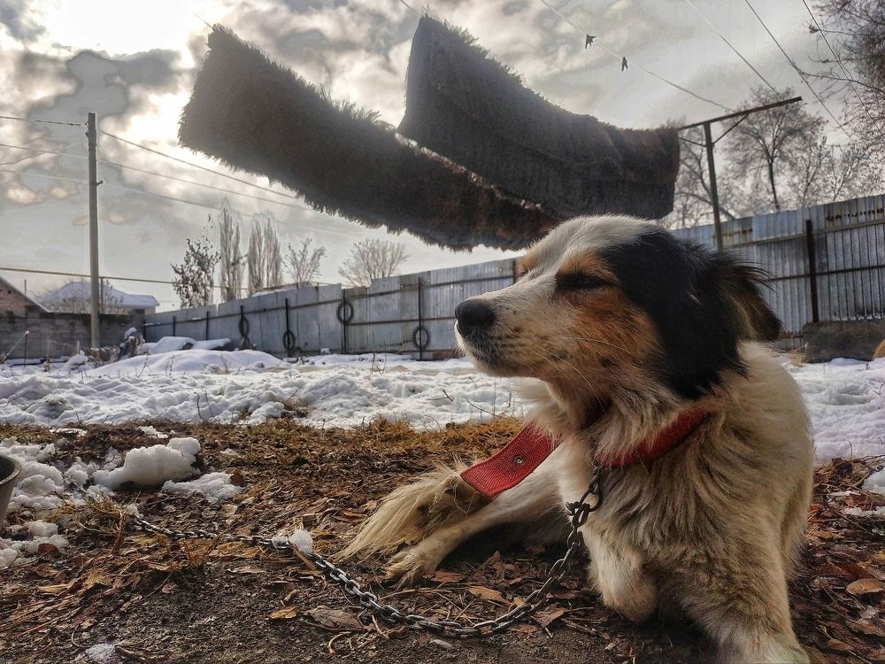 Photograph by Нуржигит Орузбаев