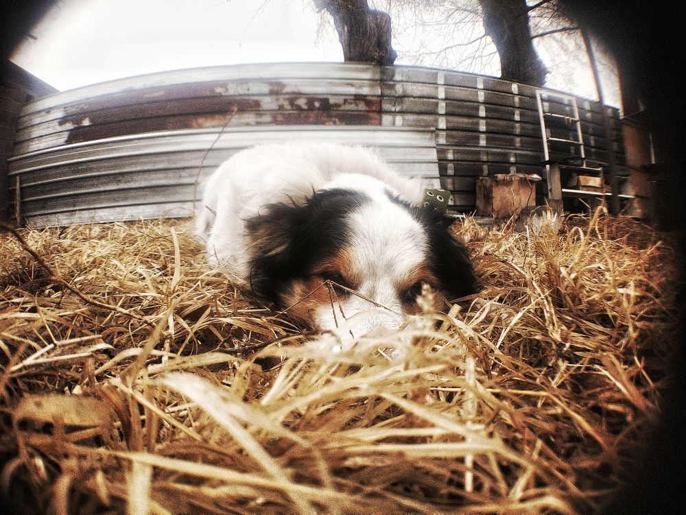 Photograph by Нуржигит Орузбаев