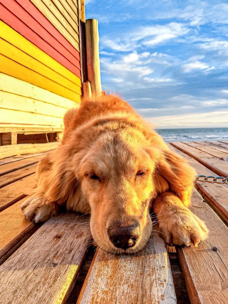 Photograph by Anabella Gasparini