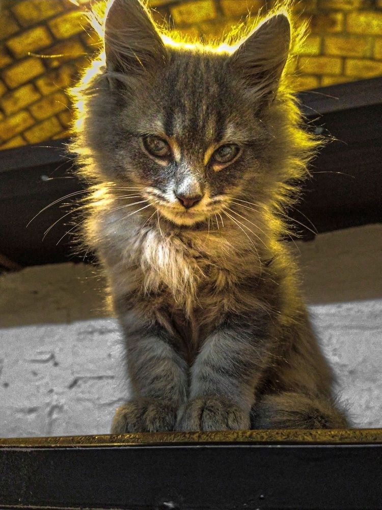 Photograph by Anabella Gasparini