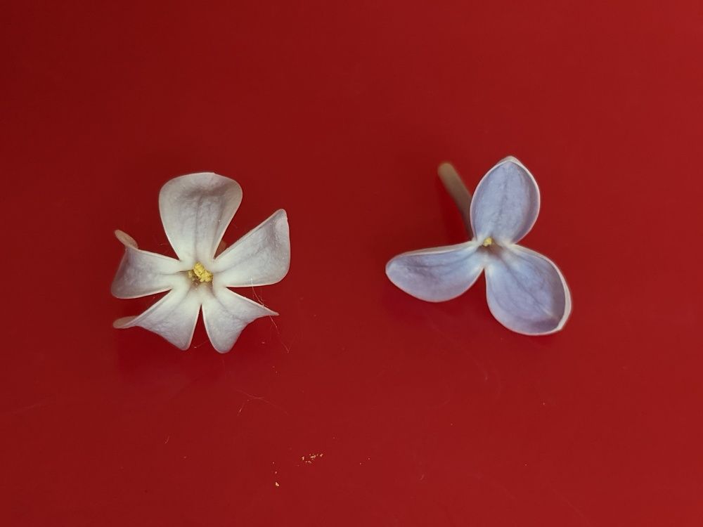 Photograph by Артём