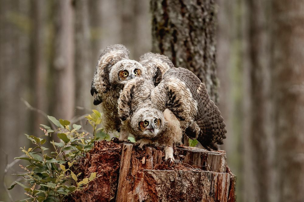 Photograph by Leah Laurie