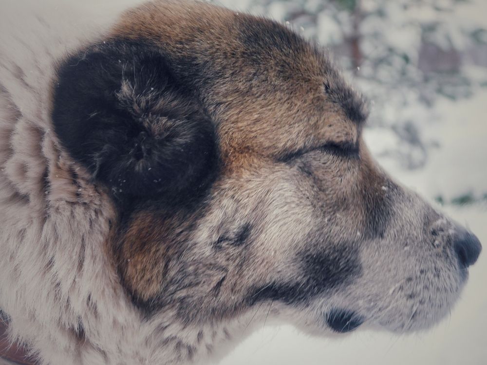 Photograph by Катерина Валах