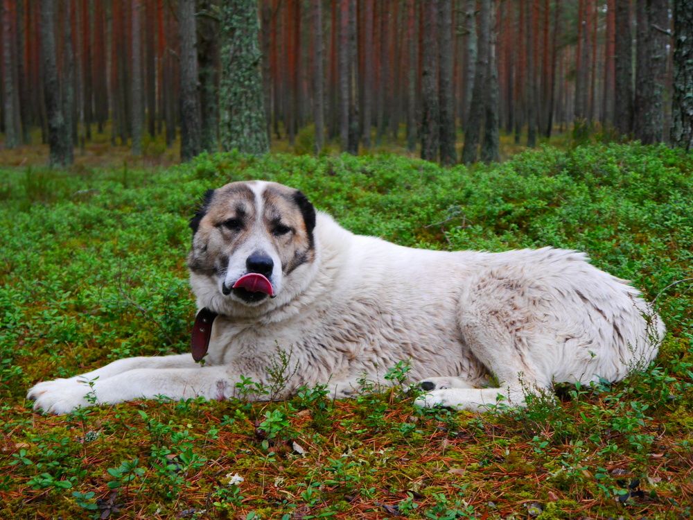 Photograph by Катерина Валах