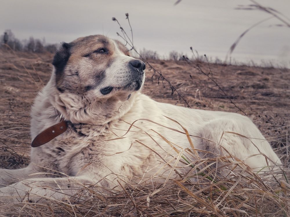 Photograph by Катерина Валах