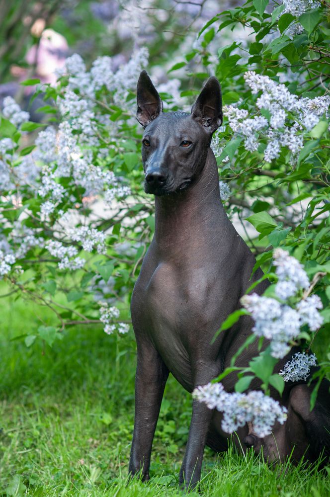 Photograph by Антонина Копытина