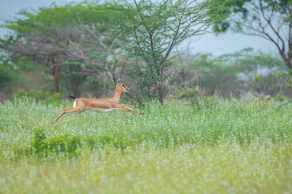 Photograph by Anindita Datta Muhuri