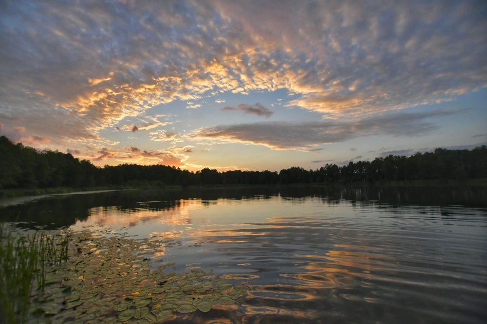 Фотография автора Iwona Moskalik