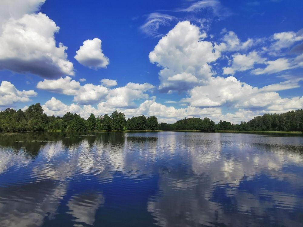 Фотография автора Iwona Moskalik