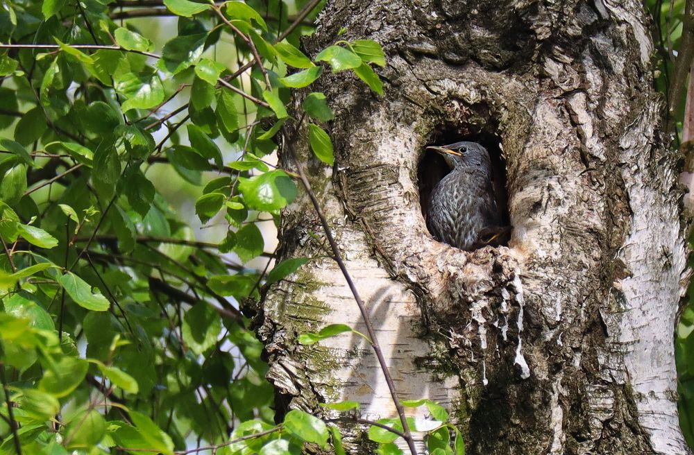 Photograph by Александр Муждабаев