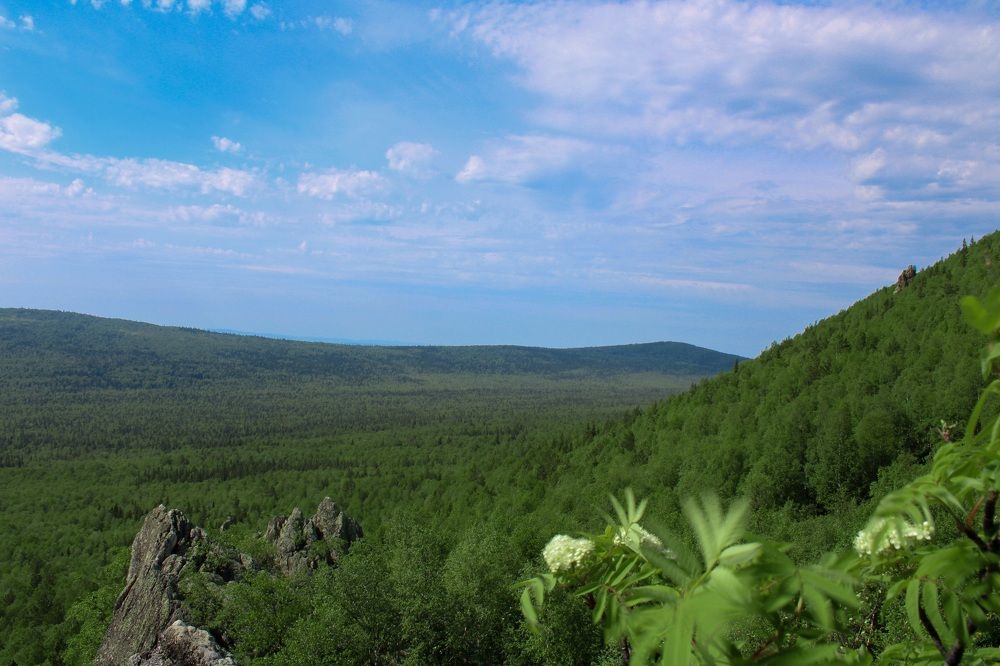 Photograph by Елена Водолеева