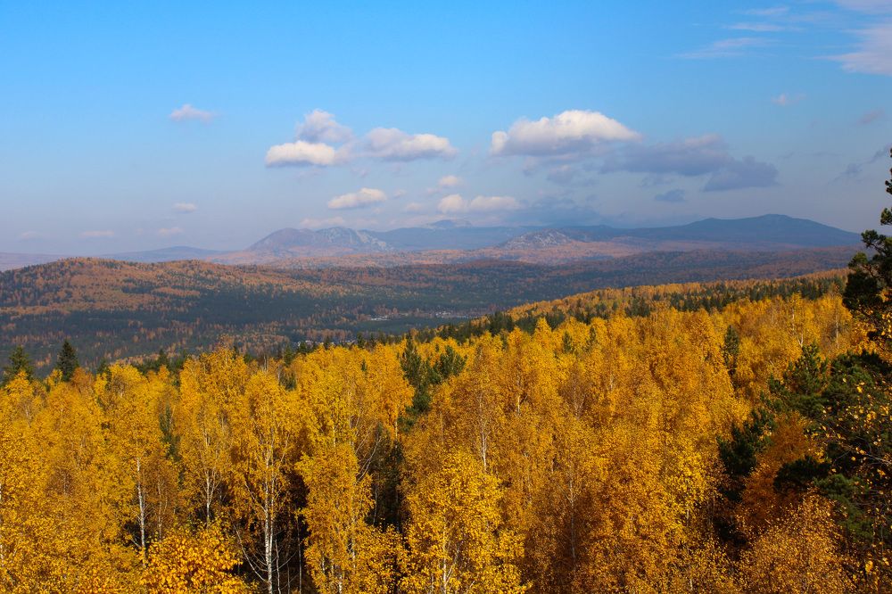 Photograph by Елена Водолеева