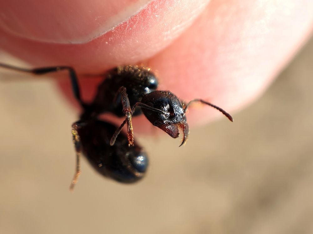 Photograph by Виталий Добрин