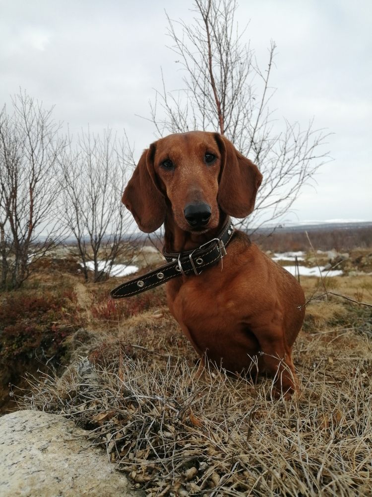 Photo #6126961