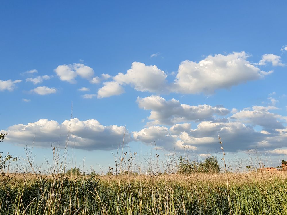 Photograph by Анастасия
