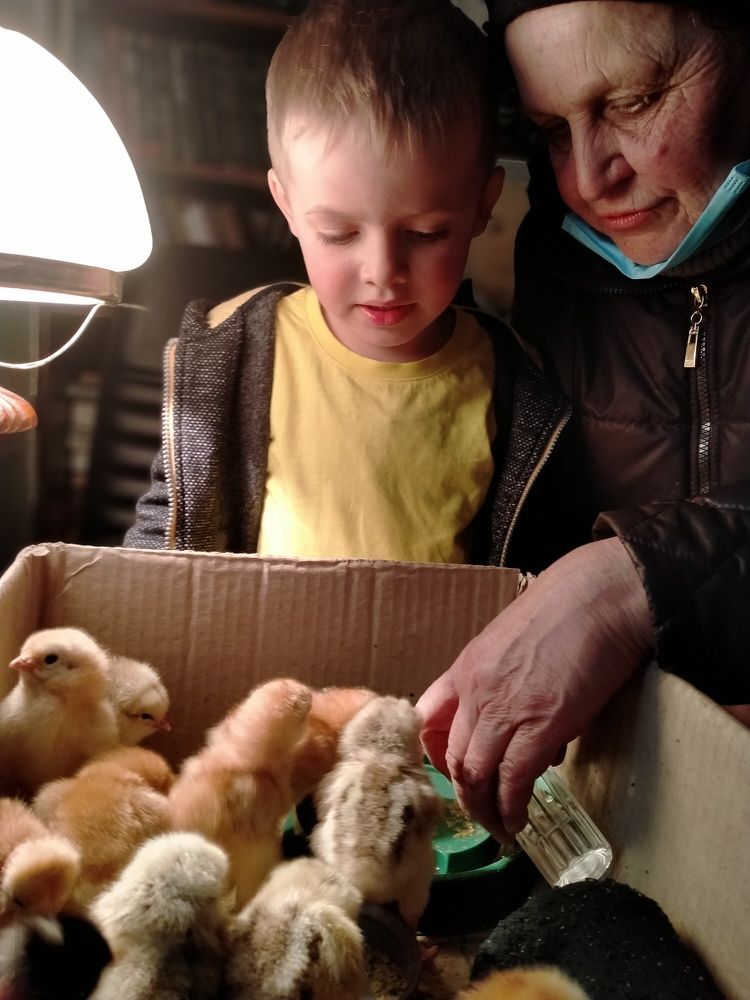 Photo #6126985