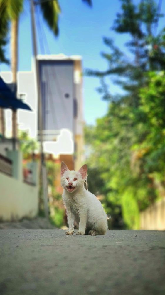 Фотография автора Navamani James