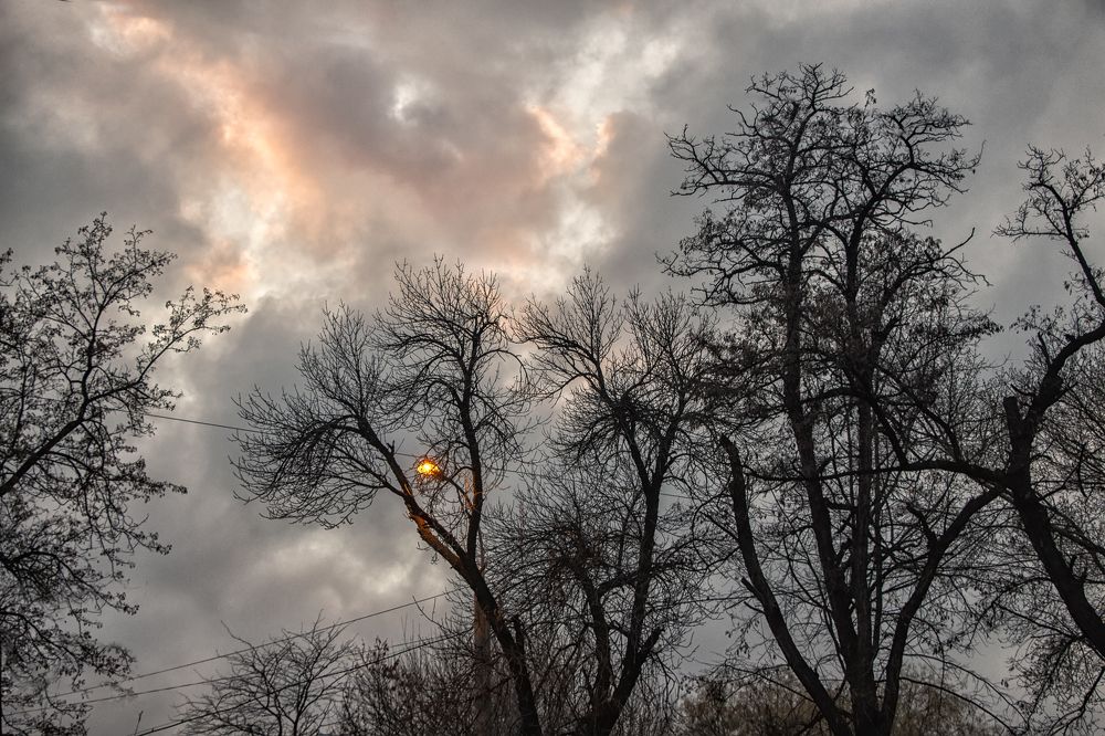 Photograph by Чунина Наталья