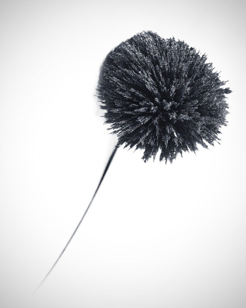 Photograph by Сергей Калинин