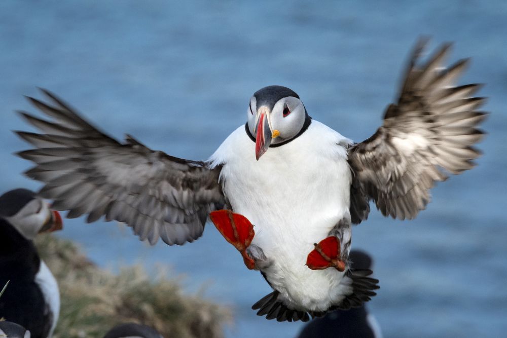 Photograph by Thor Sigurgeirsson