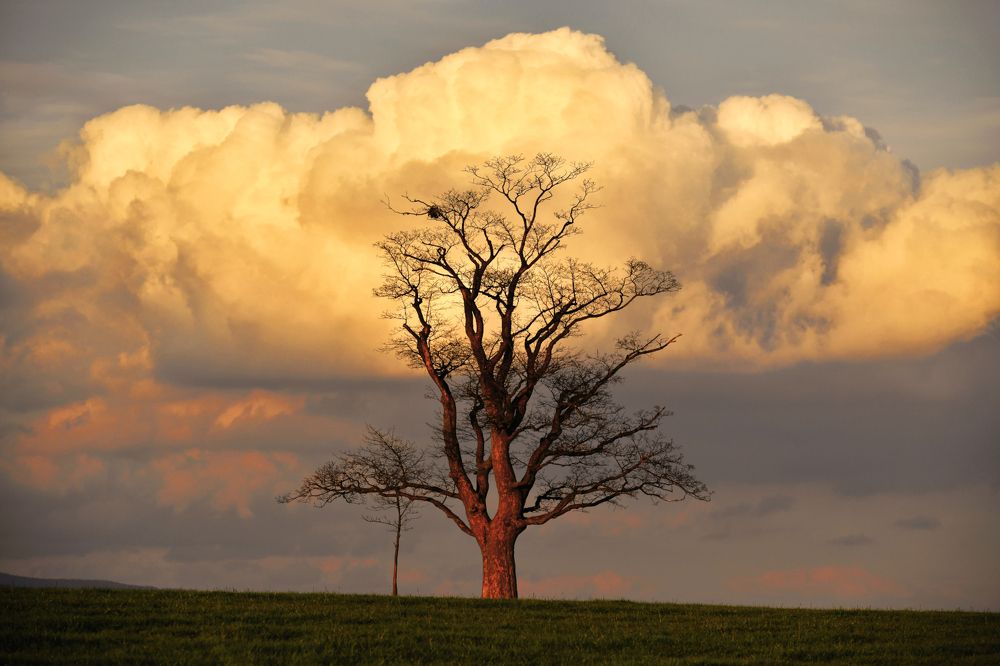 Photograph by Petr Šigut