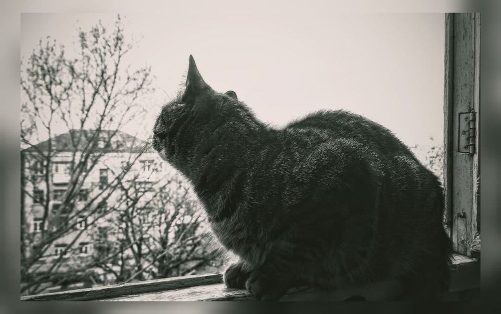 Photograph by Николай Авраменко