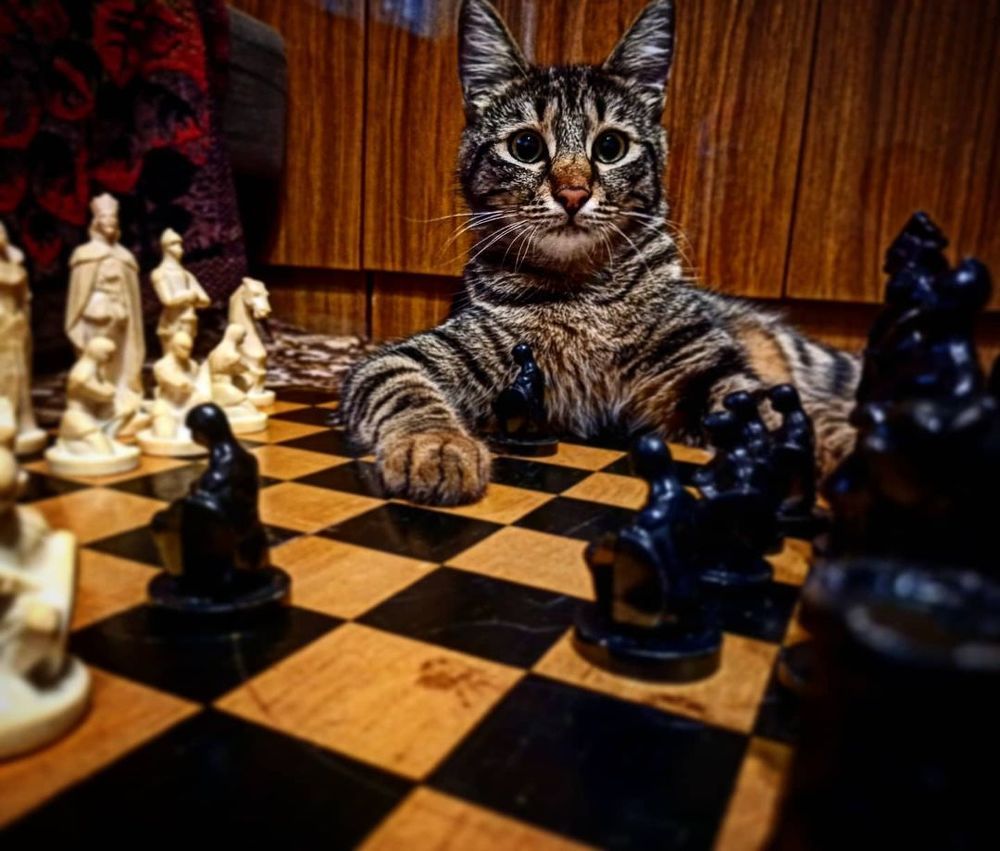 Photograph by Николай Авраменко