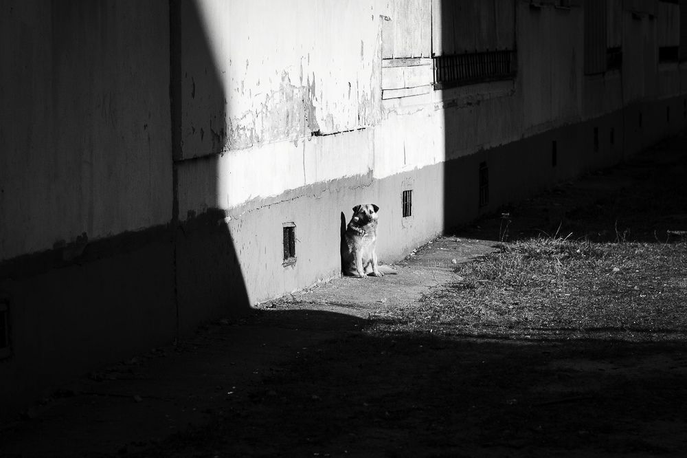 Photograph by Павел Ступак