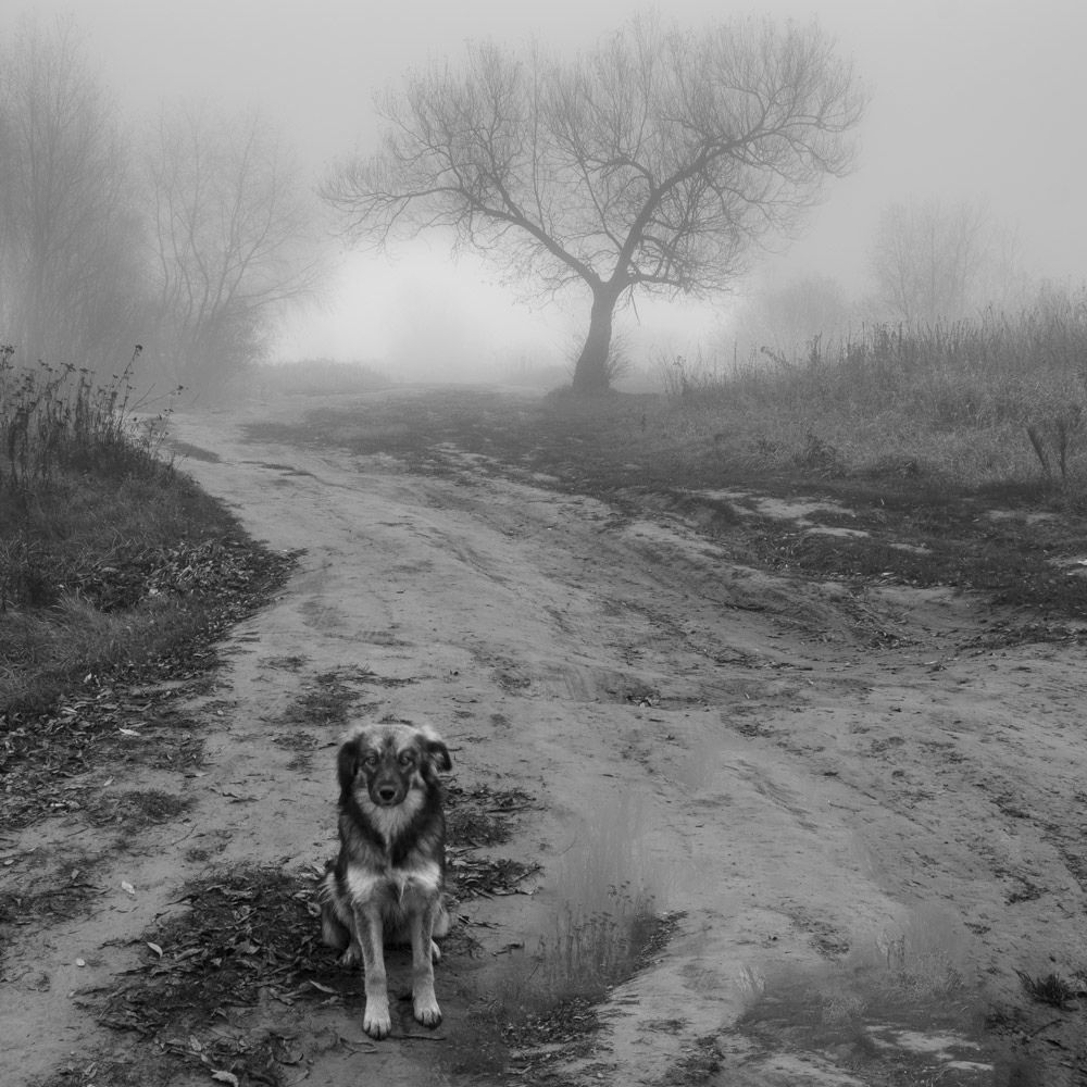 Photograph by Павел Ступак